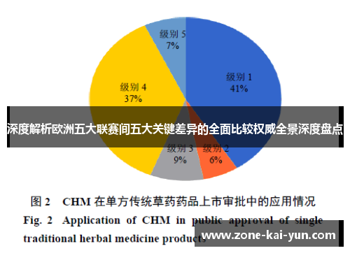 深度解析欧洲五大联赛间五大关键差异的全面比较权威全景深度盘点